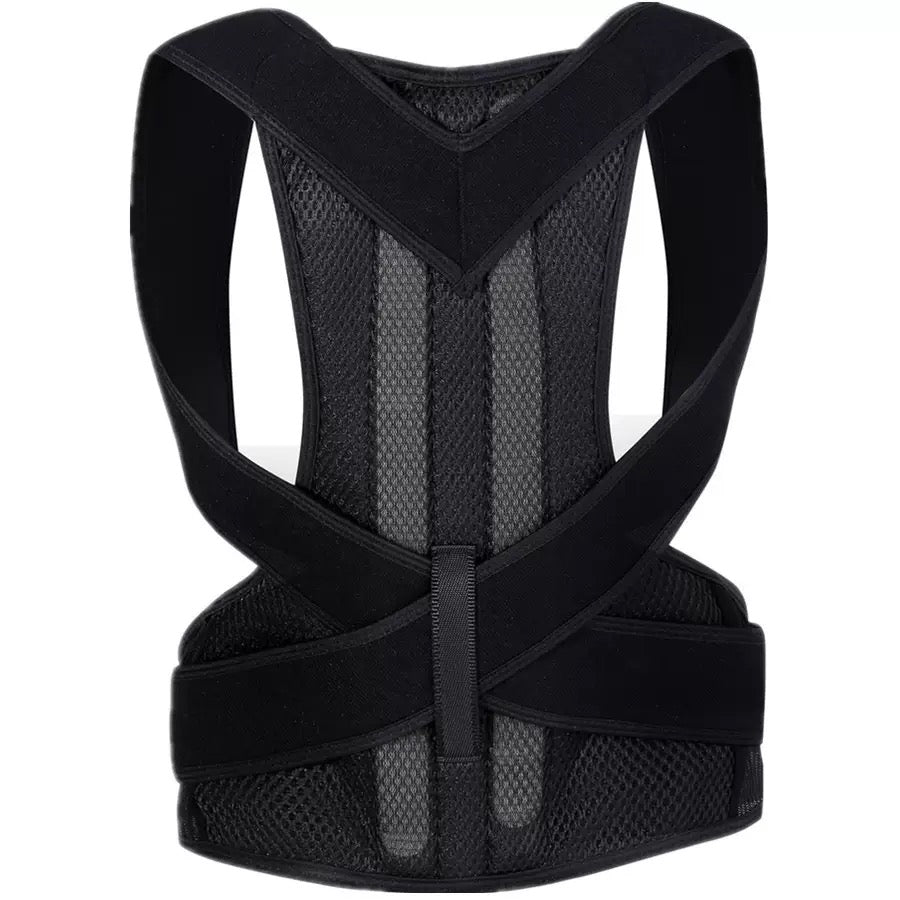 Back Support Brace